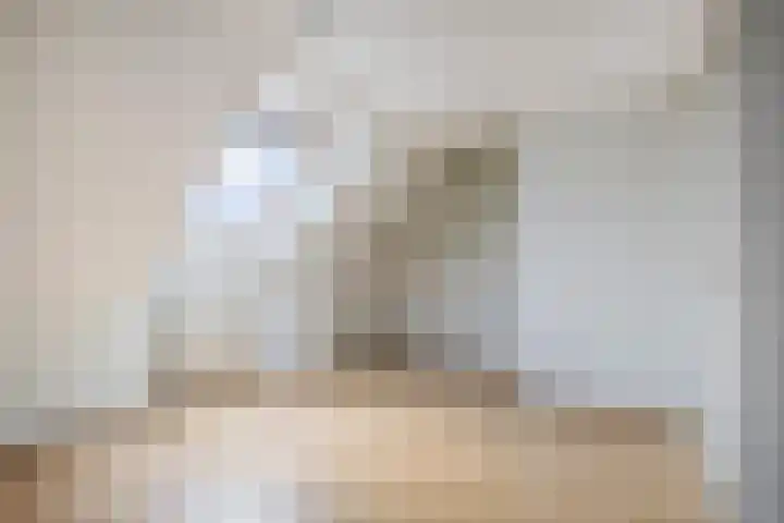 Horstveld 74 Heythuysen thumbnail 15