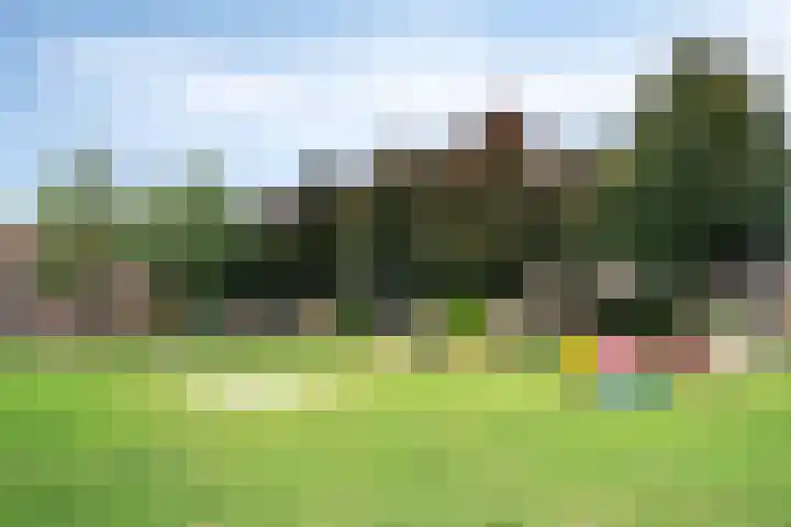 Horstveld 74 Heythuysen thumbnail 24