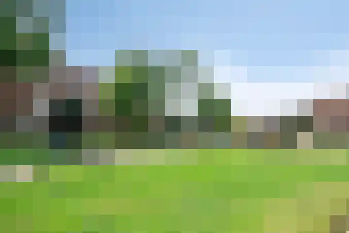 Horstveld 74 Heythuysen thumbnail 25