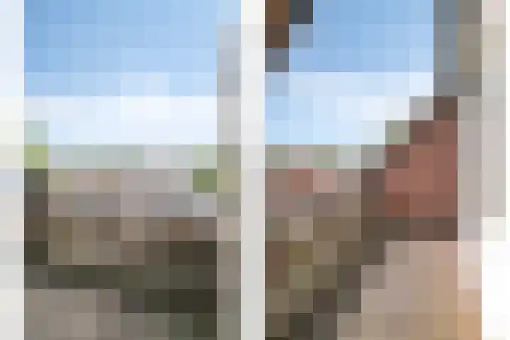 Horstveld 74 Heythuysen thumbnail 9