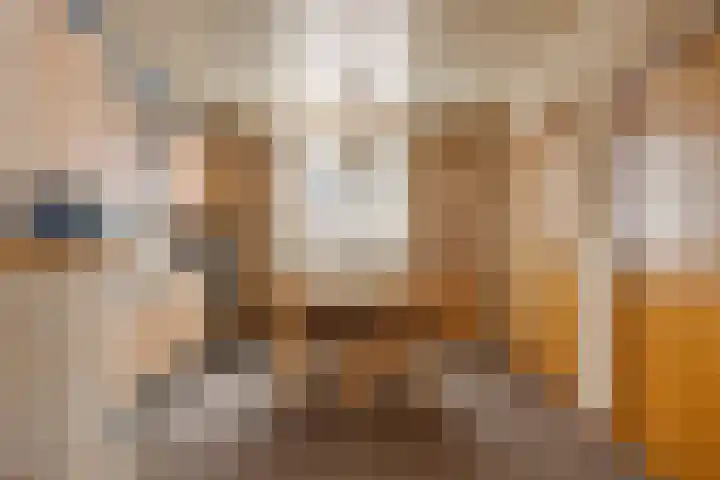 Horstveld 8 Reusel thumbnail 12