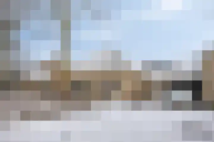 Horstveld 8 Reusel thumbnail 4