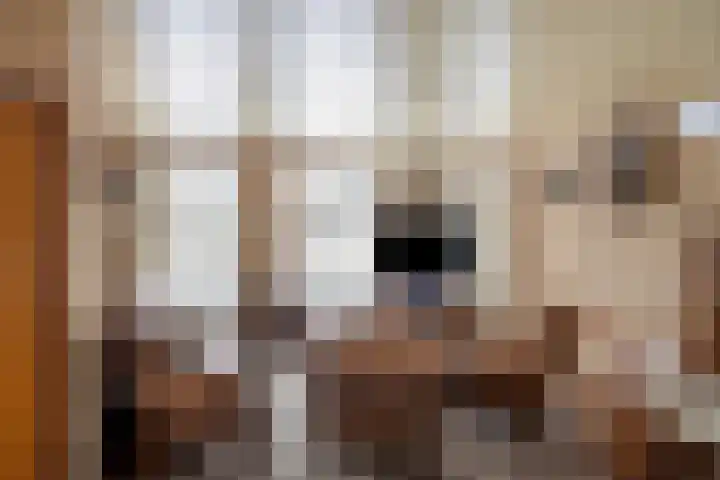 Horstveld 8 Reusel thumbnail 7