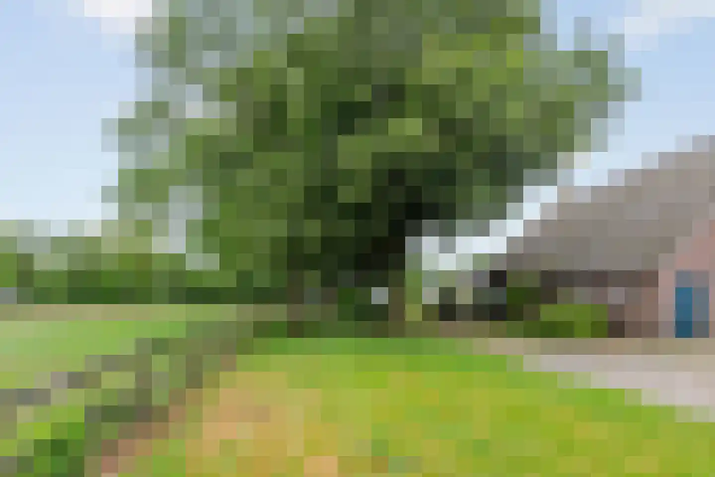 Horstweg 13 Broekland thumbnail 13
