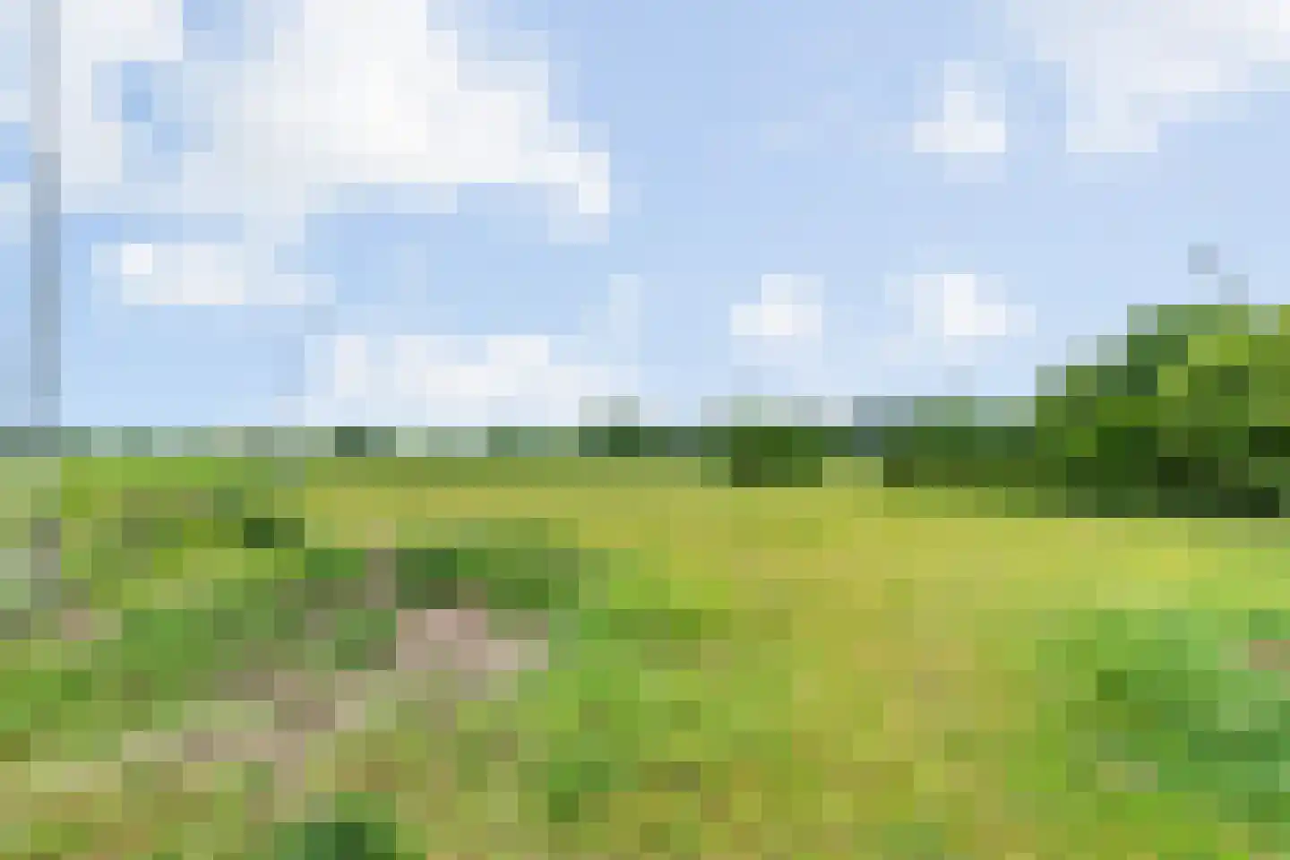 Horstweg 13 Broekland thumbnail 17