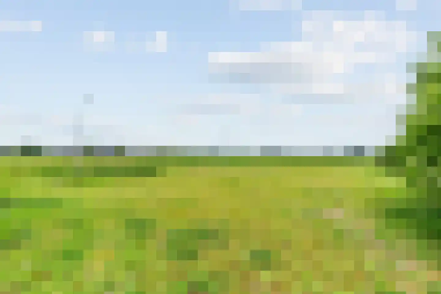 Horstweg 13 Broekland thumbnail 18