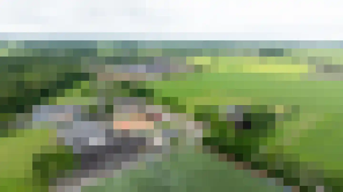 Horstweg 13 Broekland thumbnail 4