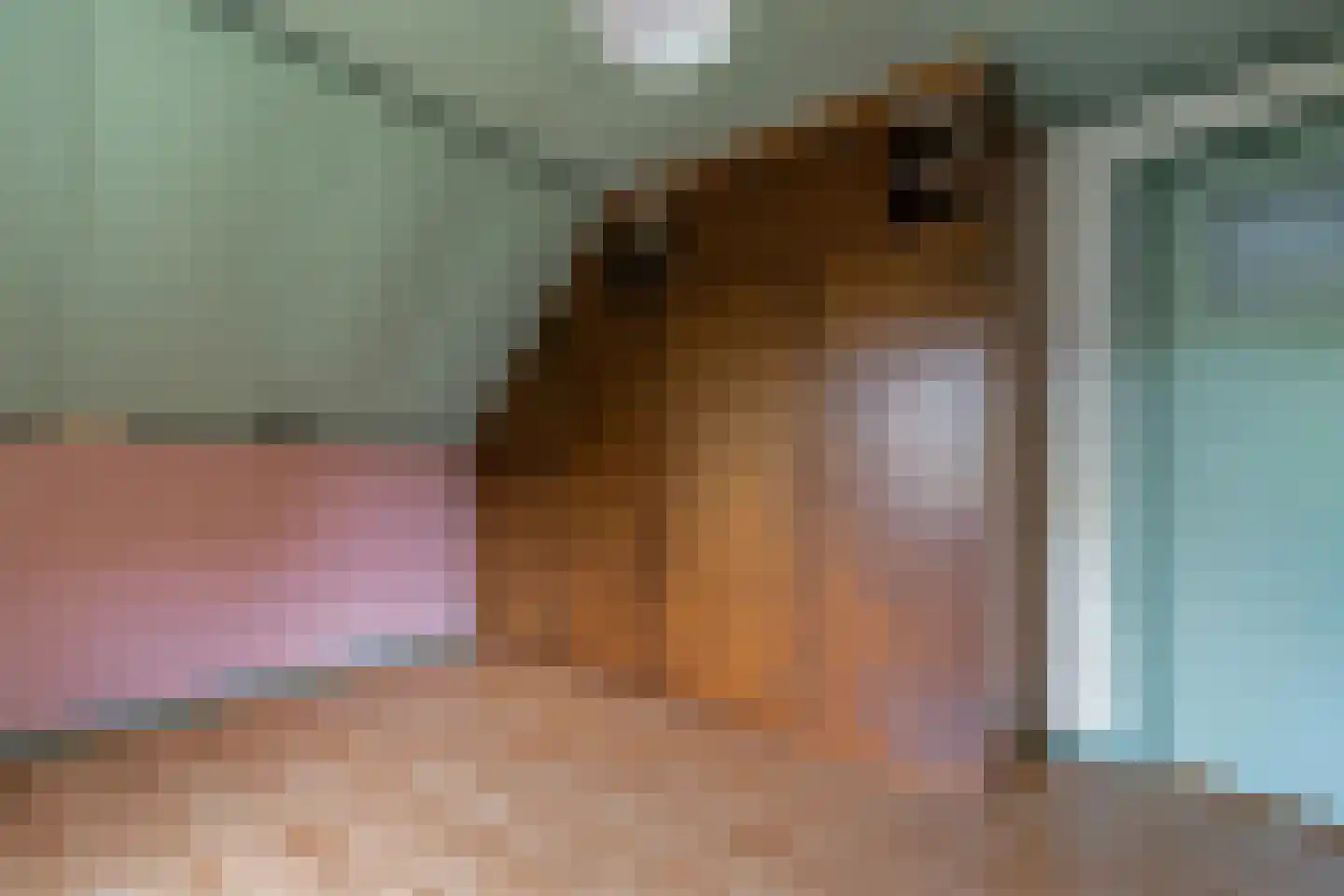 Horstweg 13 Broekland thumbnail 41