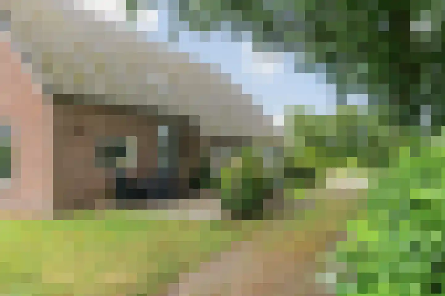 Horstweg 13 Broekland thumbnail 6
