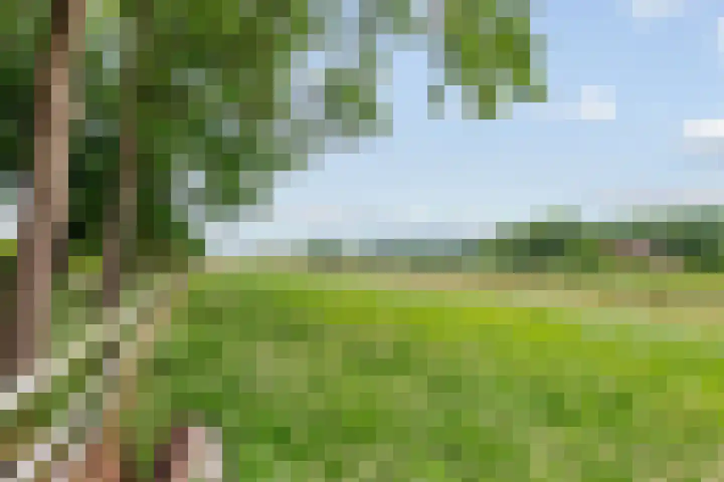 Horstweg 13 Broekland thumbnail 7
