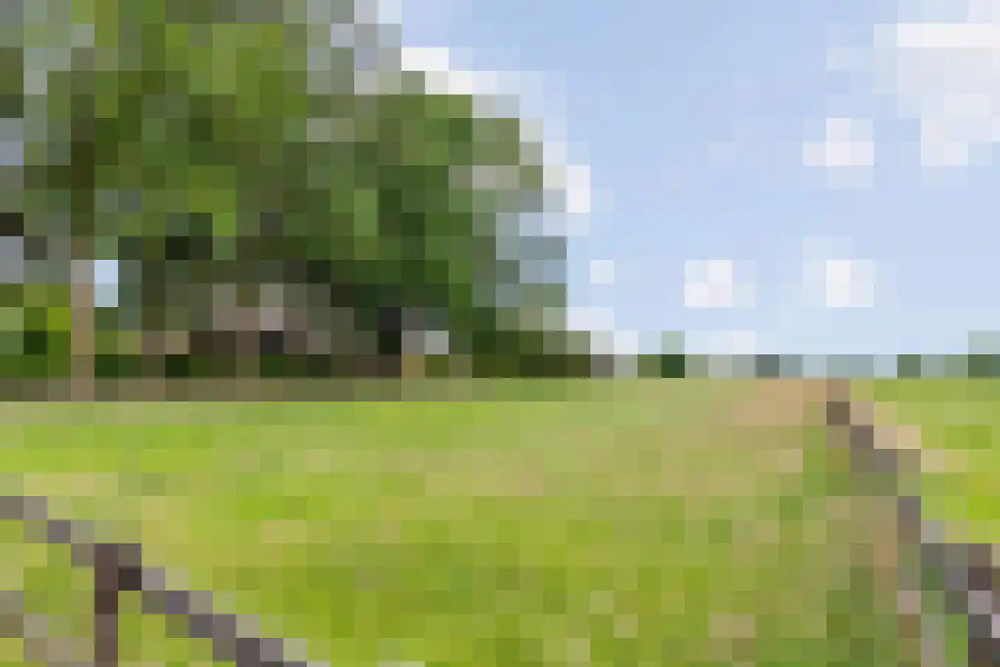 Horstweg 13 Broekland thumbnail 8