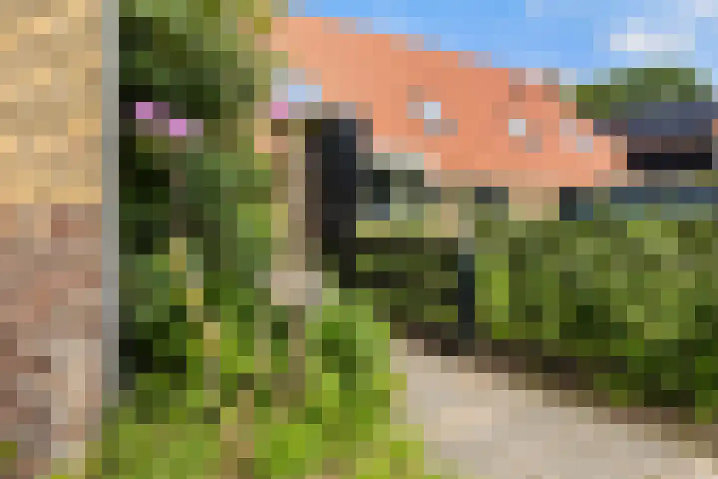 Horstweg 13 Parrega thumbnail 32