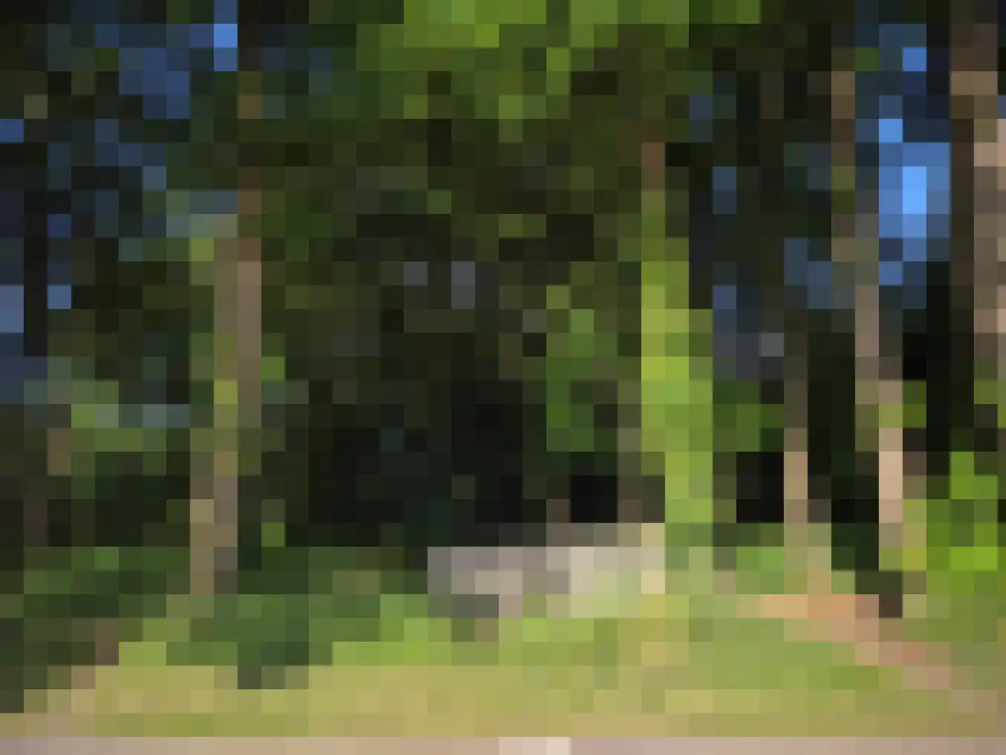 Horstweg 14 A Loenen thumbnail 63