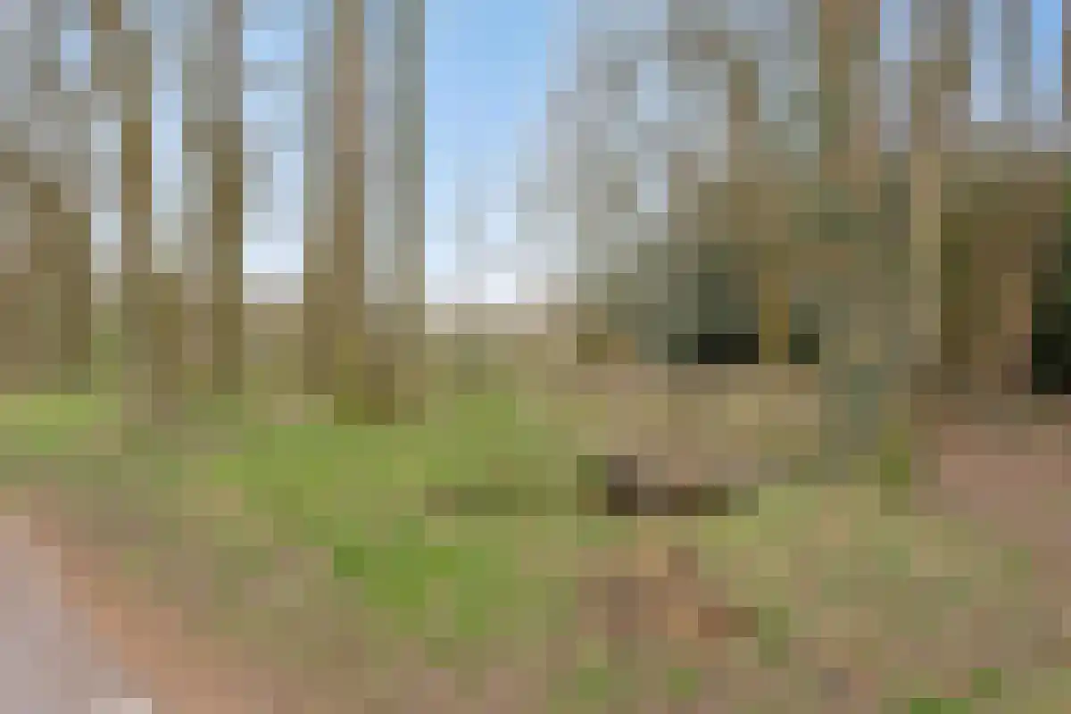 Horstweg 14 A Loenen thumbnail 64