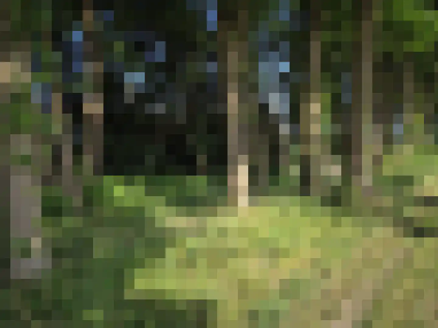 Horstweg 14 A Loenen thumbnail 65