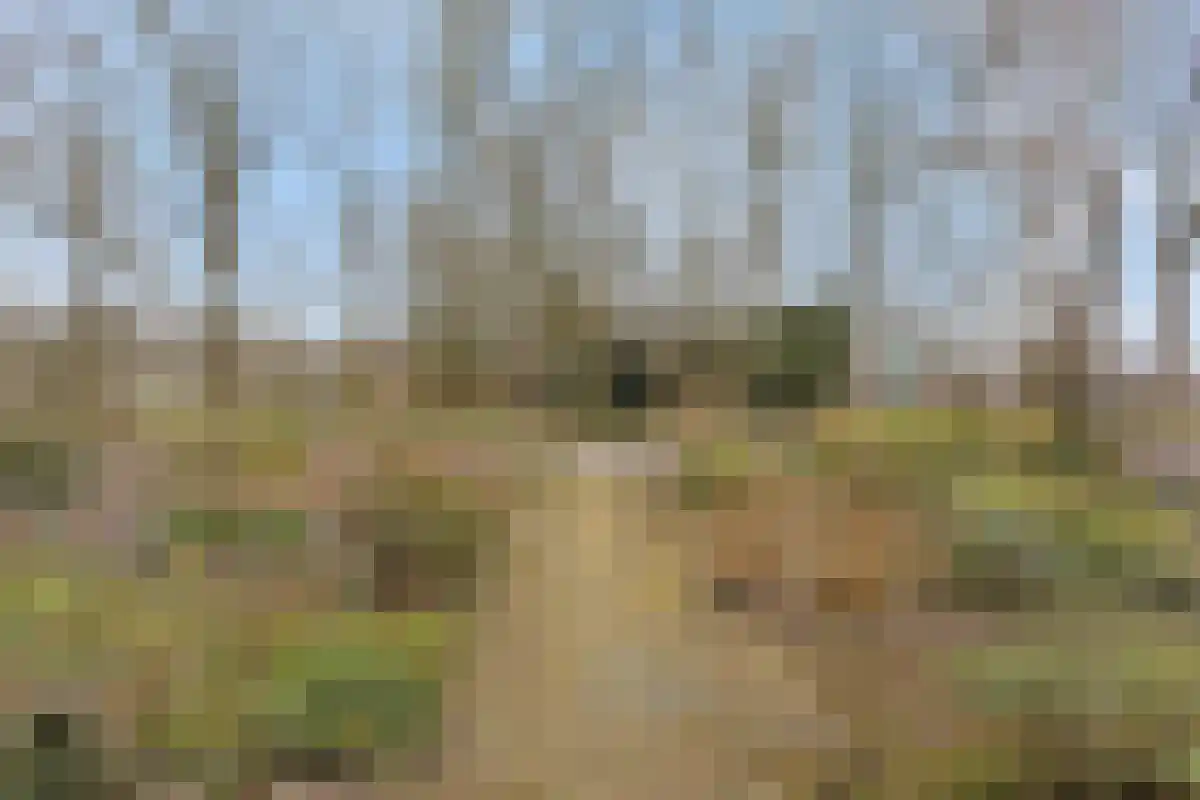 Horstweg 14 A Loenen thumbnail 66