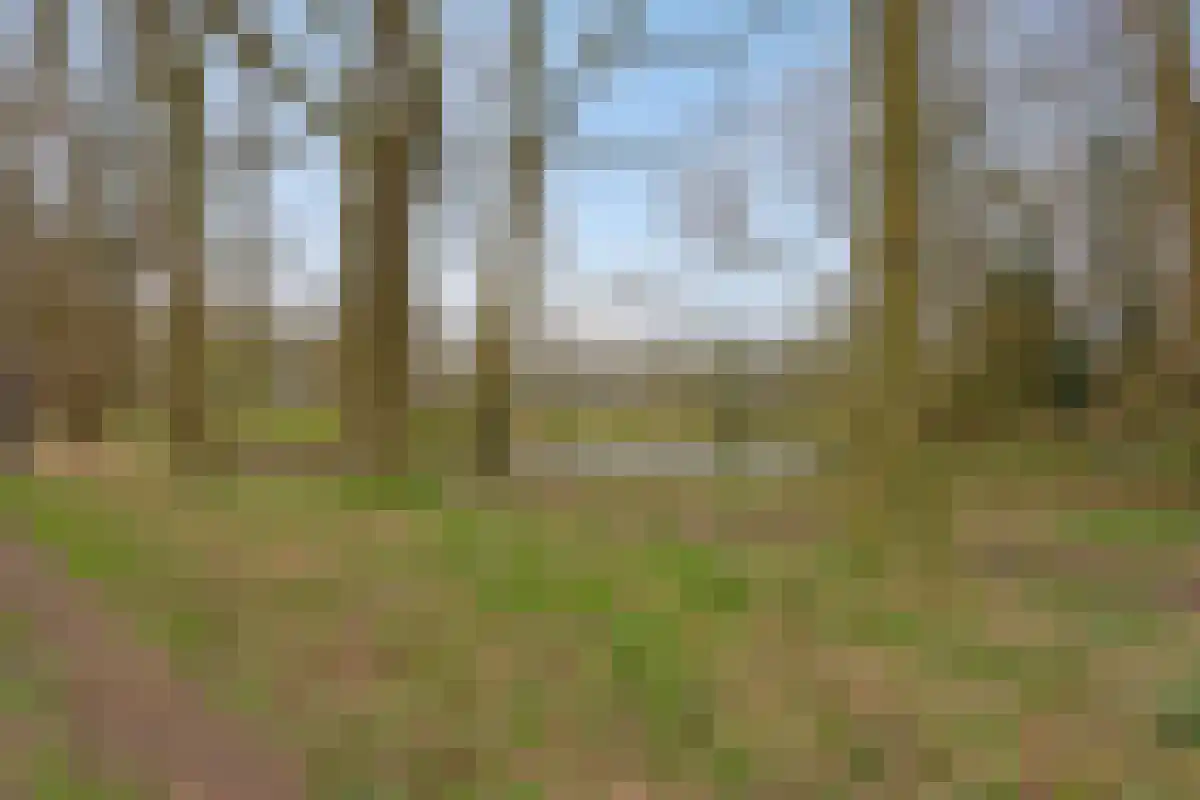 Horstweg 14 A Loenen thumbnail 67