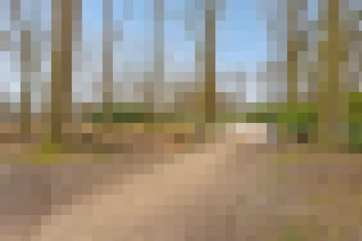 Horstweg 14 A Loenen thumbnail 68
