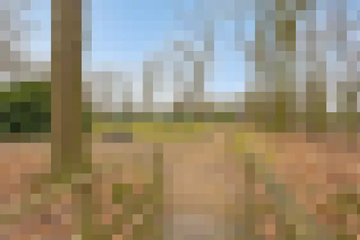 Horstweg 14 A Loenen thumbnail 69