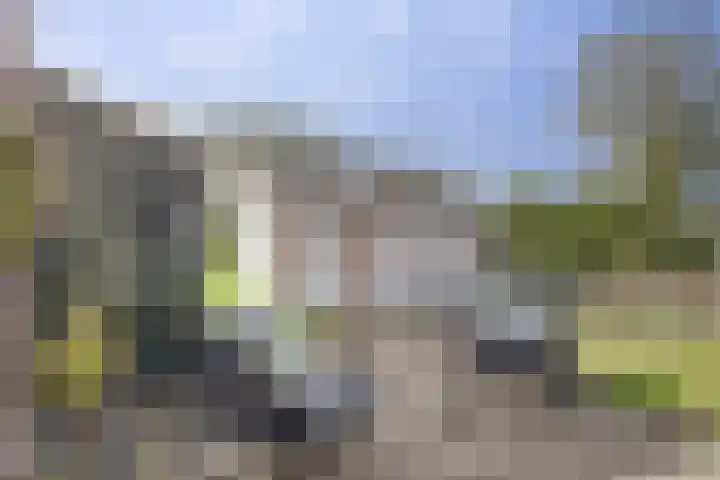 Horstweg 20 Parrega thumbnail 21