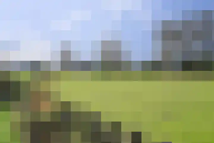Horstweg 20 Parrega thumbnail 24