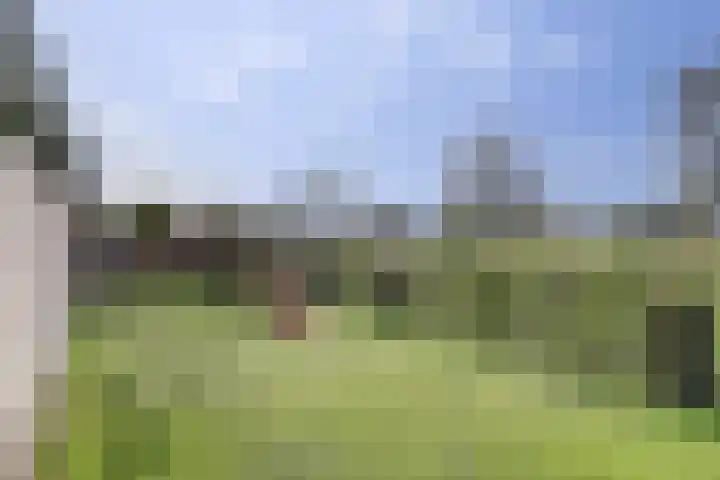 Horstweg 20 Parrega thumbnail 4