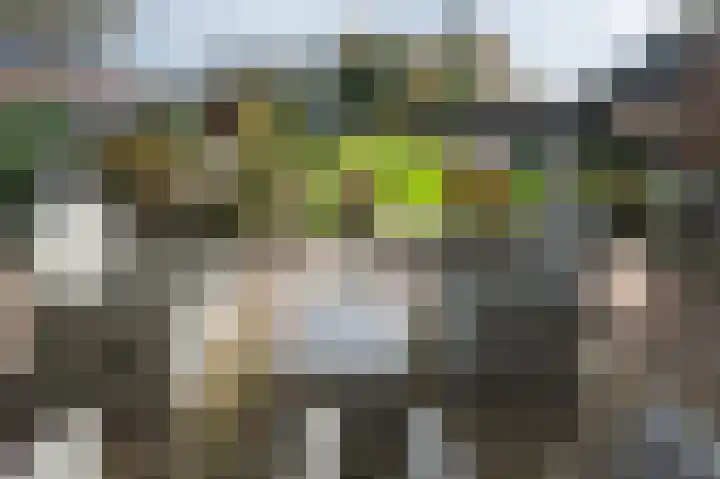 Horstweg 25 Loenen thumbnail 28