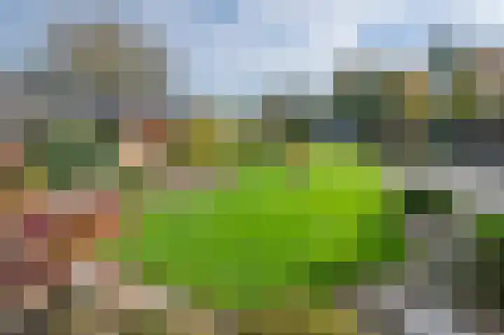 Horstweg 25 Loenen thumbnail 31