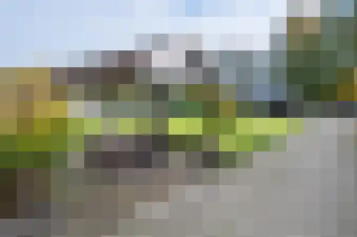Horstweg 25 Loenen thumbnail 32