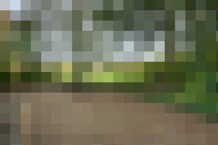 Horstweg 25 Loenen thumbnail 40