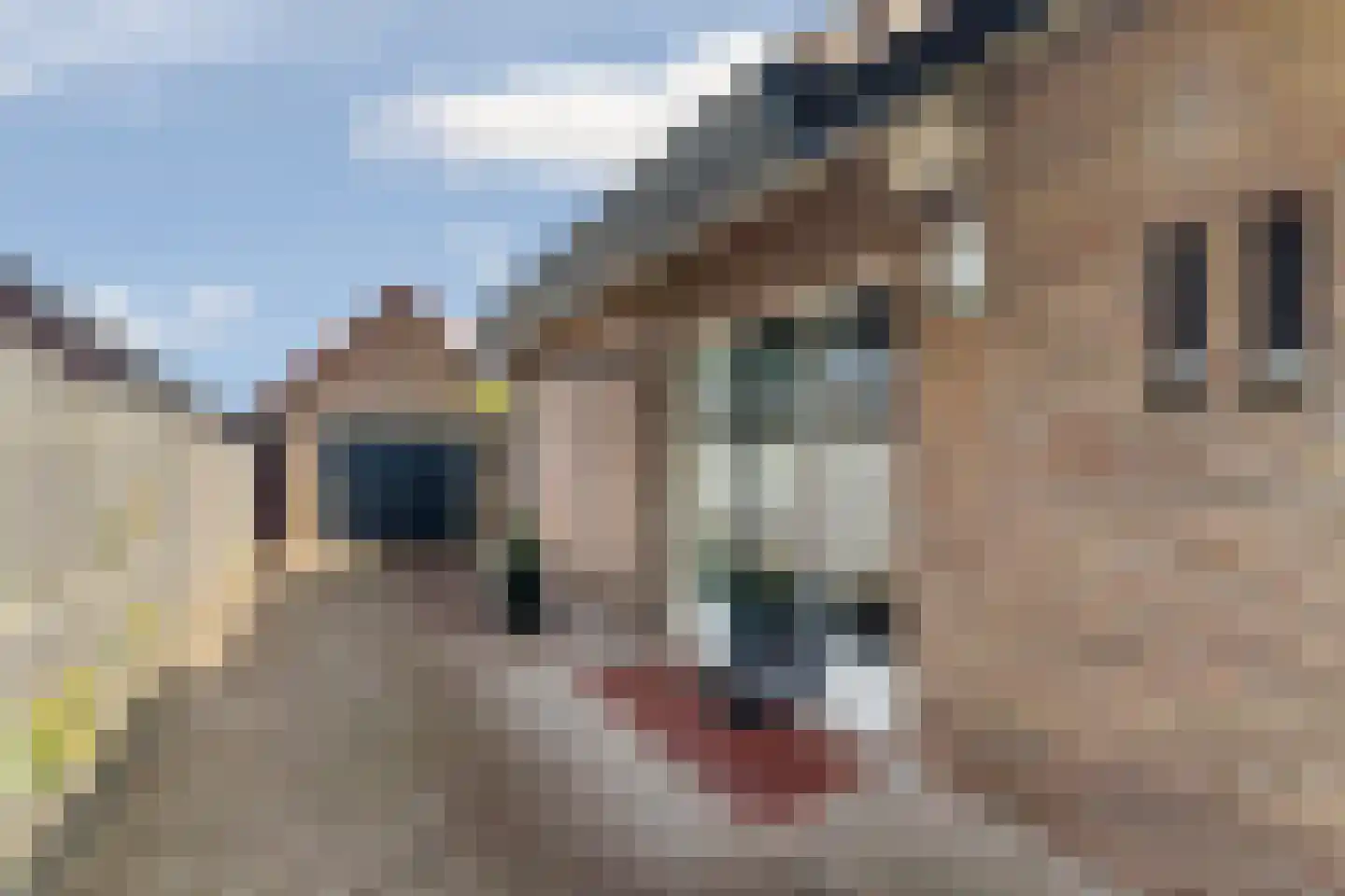 Horstweg 27 A Loenen thumbnail 46