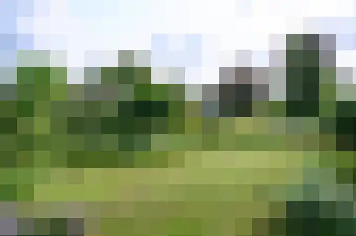 Horstweg 29 B Loenen thumbnail 20