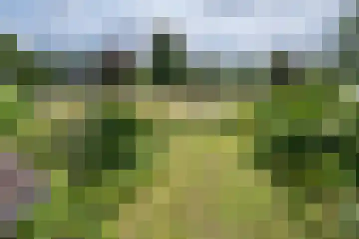 Horstweg 29 B Loenen thumbnail 21