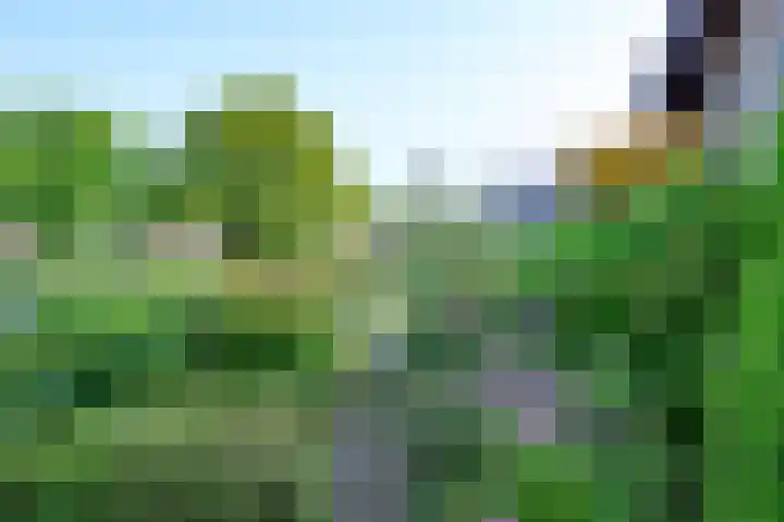 Horstweg 29 B Loenen thumbnail 22