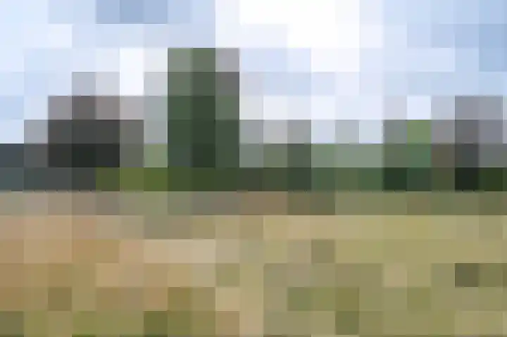 Horstweg 29 B Loenen thumbnail 23