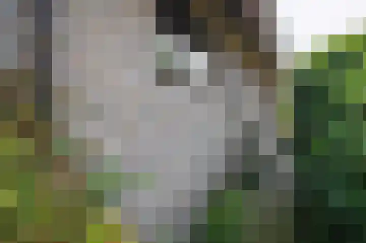 Horstweg 29 B Loenen thumbnail 26