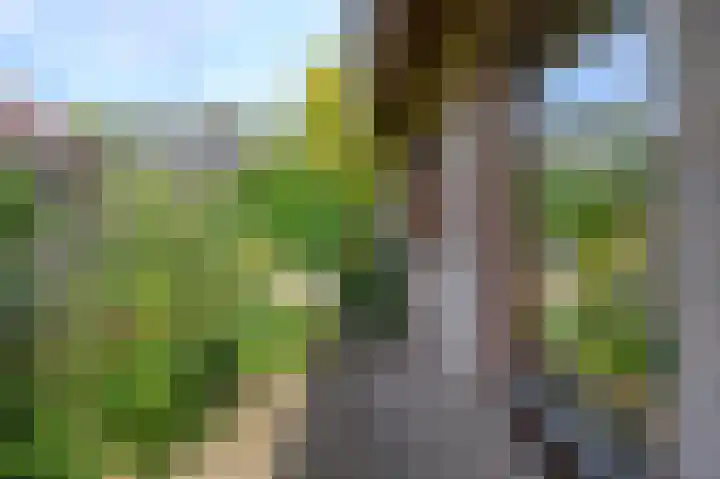 Horstweg 29 B Loenen thumbnail 27