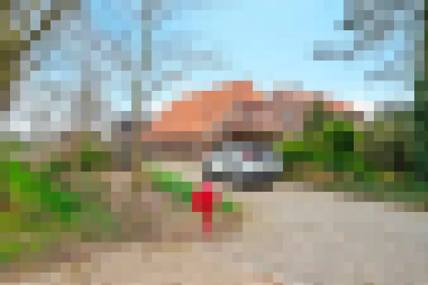 Horstweg 3 Dodewaard