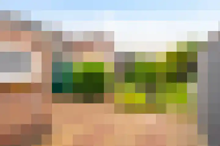 Horstweg 50 Loenen thumbnail 23