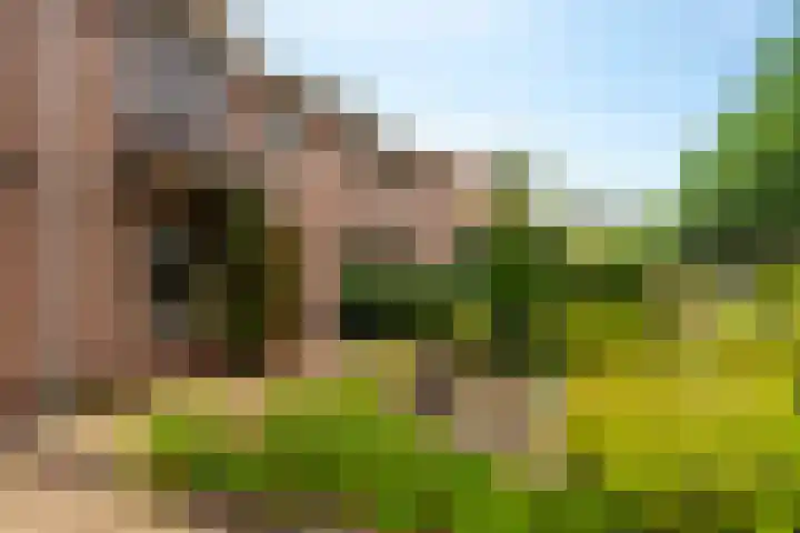 Horstweg 50 Loenen thumbnail 30
