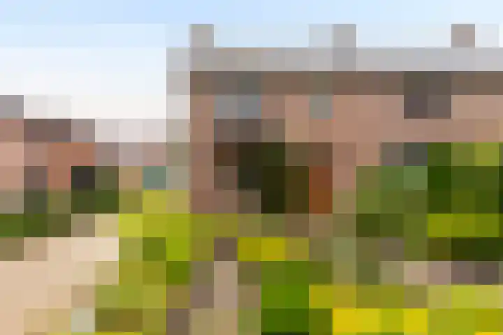 Horstweg 50 Loenen thumbnail 36