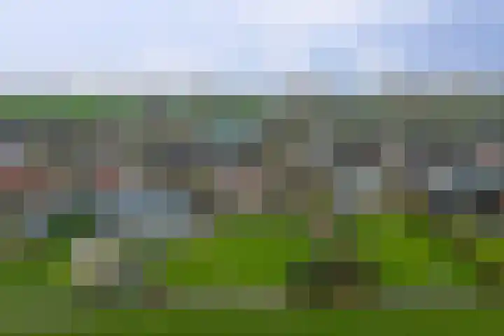 Horstweg 51 Parrega thumbnail 26