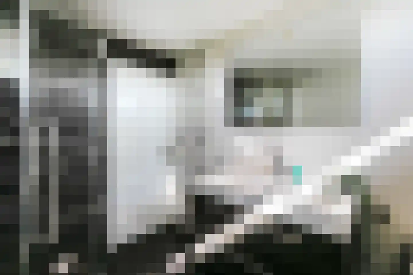 Horstweg 6 Hoevelaken thumbnail 21