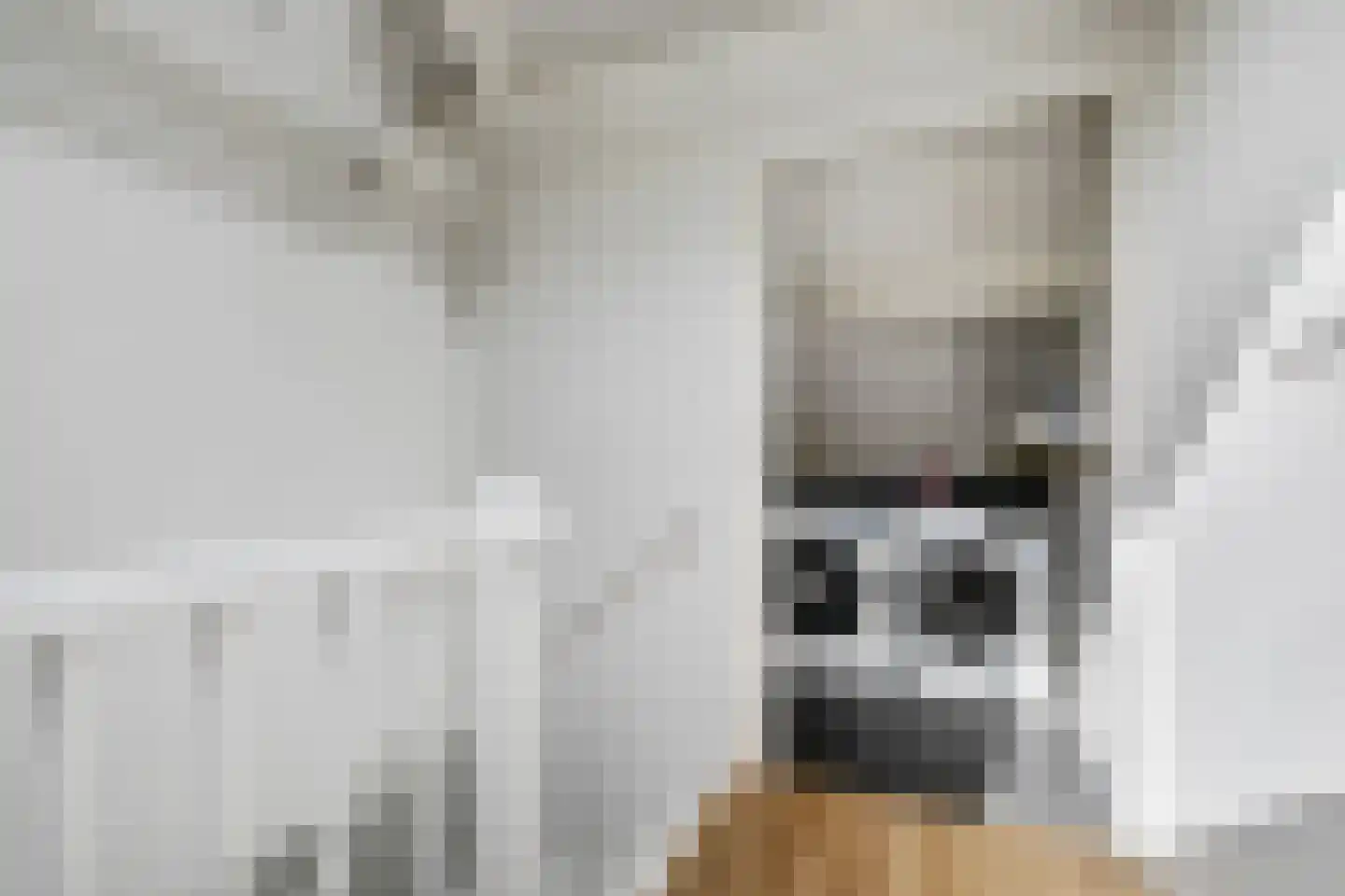 Horstweg 6 Hoevelaken thumbnail 25