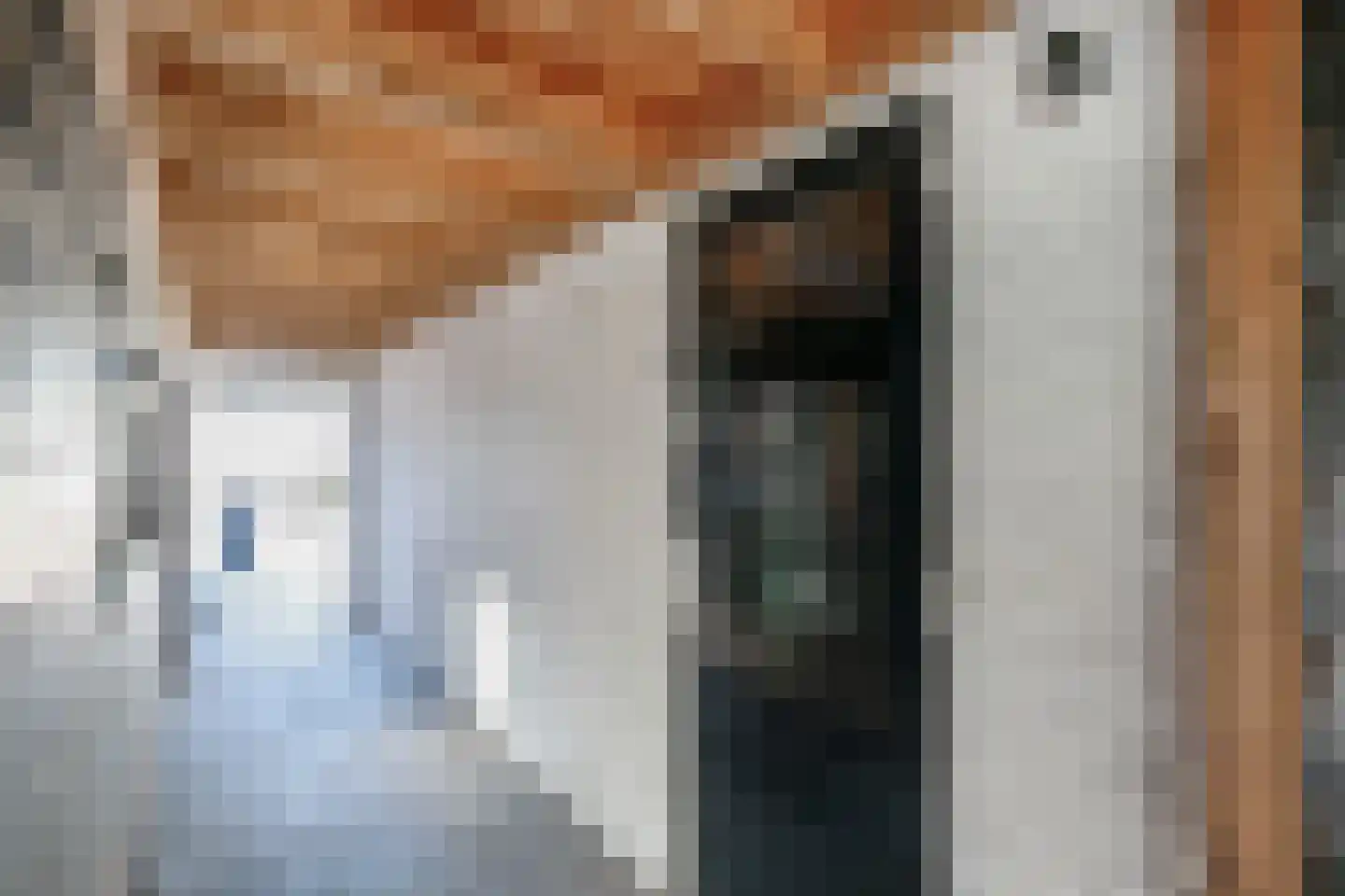 Horstweg 6 Hoevelaken thumbnail 37