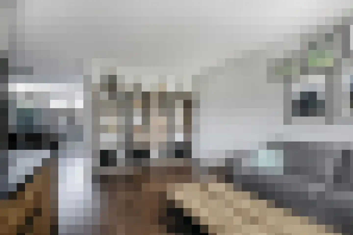 Horstweg 6 Hoevelaken thumbnail 5
