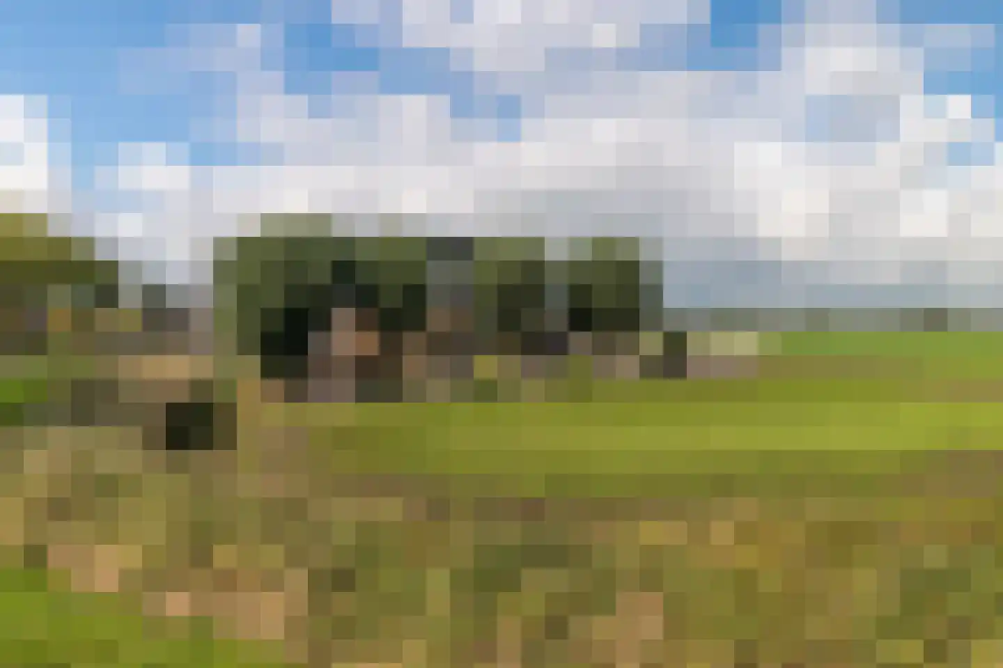 Horstweg 61 A Parrega thumbnail 32