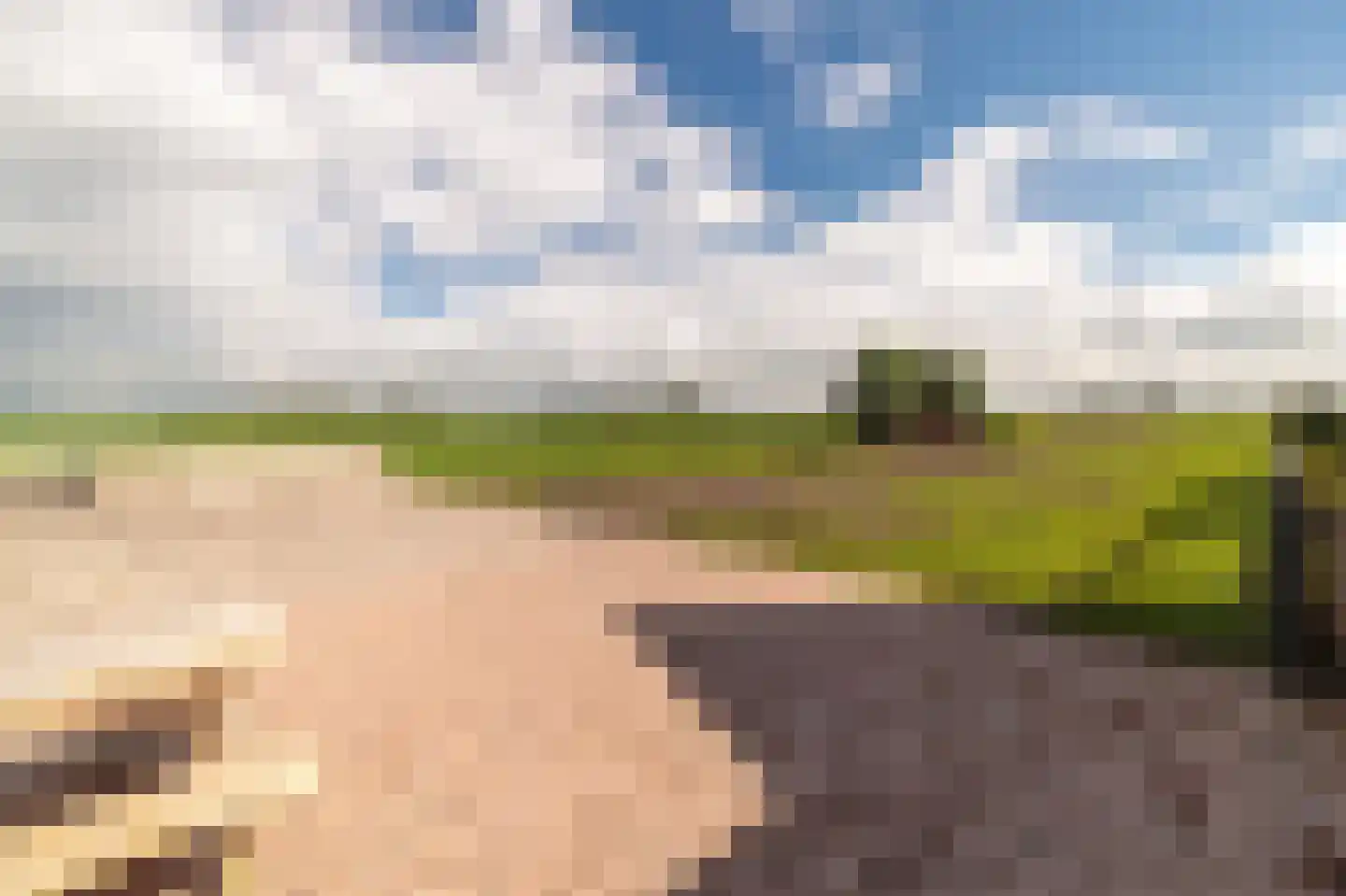 Horstweg 61 A Parrega thumbnail 36