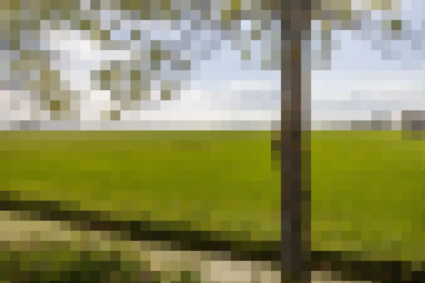 Horstweg 61 A Parrega thumbnail 37