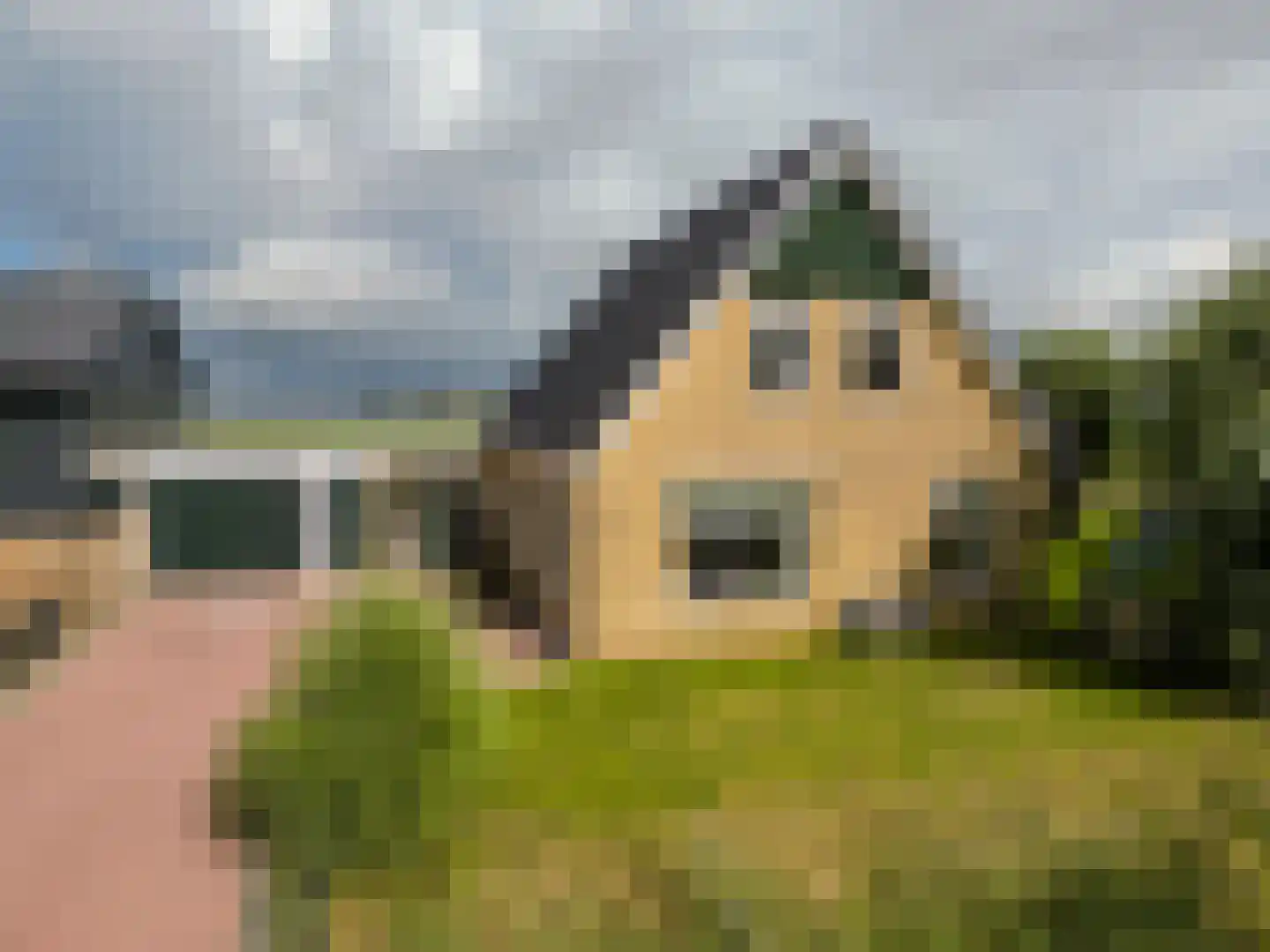 Horstweg 61 A Parrega thumbnail 5
